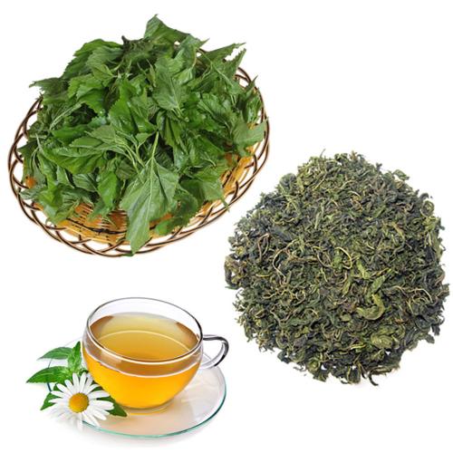 桑葉茶應(yīng)該如何保存