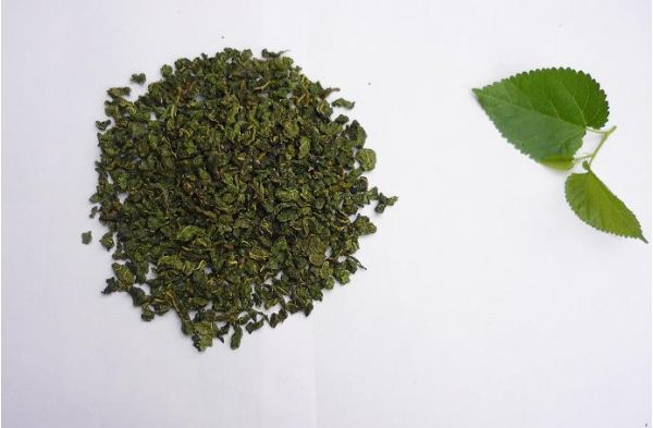 喝桑葉茶應(yīng)注意什么