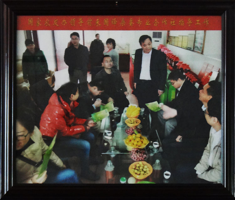 國家農(nóng)發(fā)辦領(lǐng)導(dǎo)前來國鋒桑蠶專業(yè)合作社指導(dǎo)工作