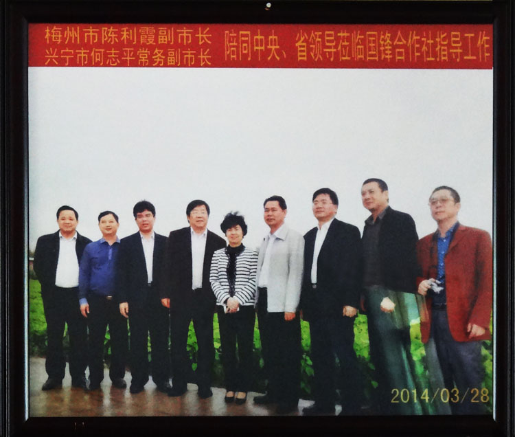 梅州市陳利霞副市長(zhǎng) 興寧市何志平常務(wù)副市長(zhǎng)陪同中央、省領(lǐng)導(dǎo)蒞臨國(guó)鋒合作社指導(dǎo)工作