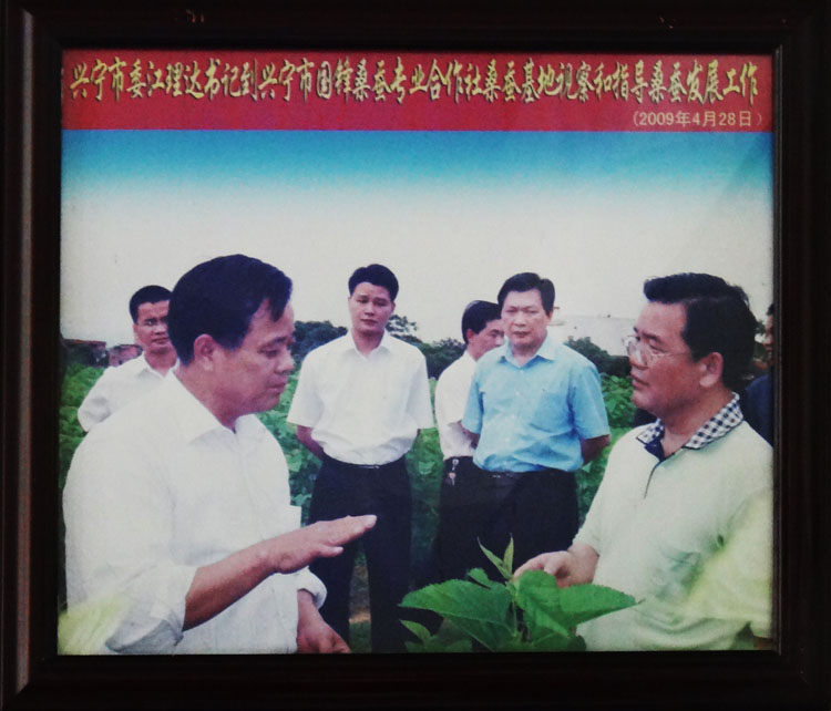 興寧市委江理達(dá)書記到興寧市國(guó)鋒桑蠶專業(yè)合作社指導(dǎo)工作
