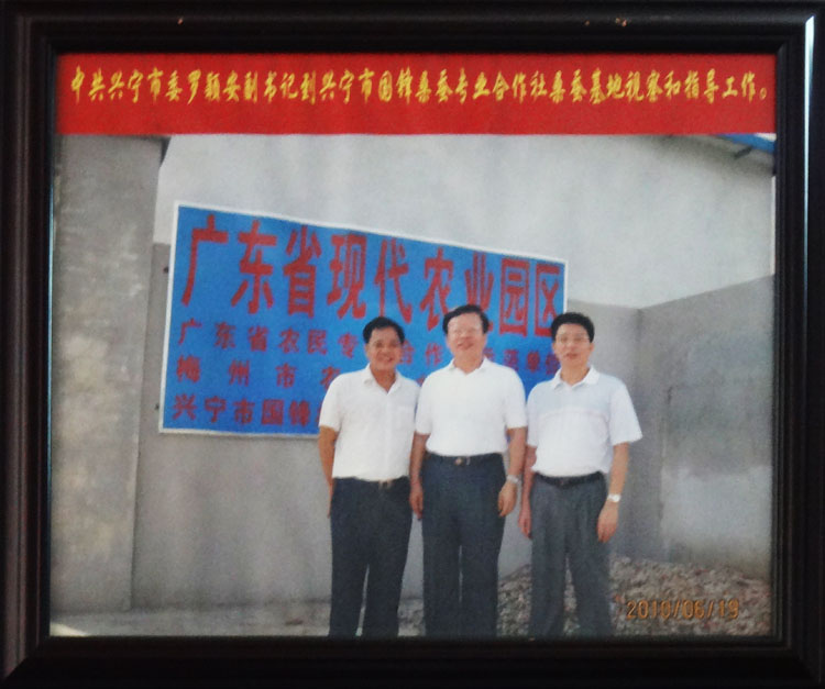 中共興寧市委羅穎安副書記到興寧國(guó)鋒桑蠶專業(yè)合作社指導(dǎo)工作