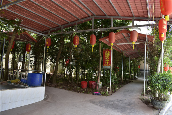 農(nóng)家樂走廊