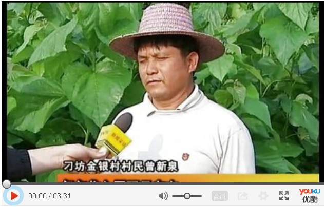 國鋒桑蠶專業(yè)合作社助600多戶農(nóng)戶奔康致富